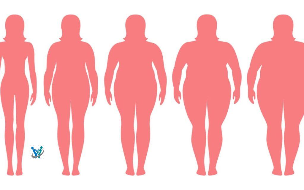 شكون جربت زريعة الفصة لزيادة الوزن 2 شكون جربت زريعة الفصة لزيادة الوزن